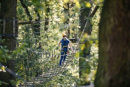 Das Bild zeigt eine Person in Kletterausrüstung von hinten auf einer Seilbrücke im Wald.